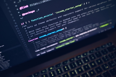 IT specialist working on a project